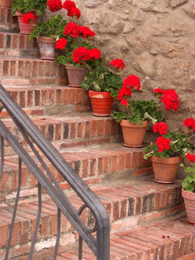 img_como_elegir_el_tiesto_adecuado_para_mis_plantas_6904_orig
