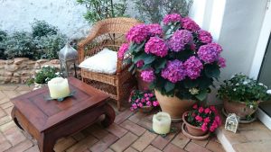 IMG-20160704-WA0009